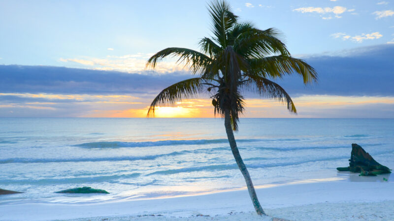 plage1