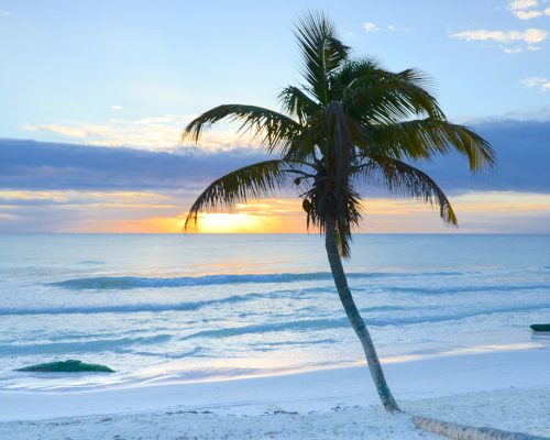 plage1